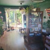 Photo 5: Living room