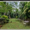 Photo 7: Garden