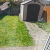 Photo 8: Garden