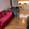 Photo 4: Living Room