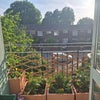 Photo 8: Balcony Garden