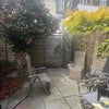 Photo 2: Garden
