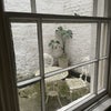 Photo 6: View of outdoor space