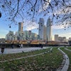 Photo 7: Nearby park