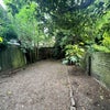 Photo 2: Garden