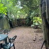 Photo 3: Garden
