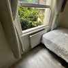 Photo 4: Room