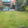 Photo 7: Garden