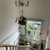 Photo 2: your new hallway