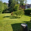 Photo 3: Rear Garden