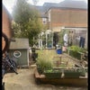 Photo 6: Garden