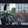 Photo 2: View from bedroom