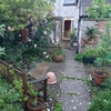 Photo 3: Back garden