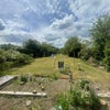 Photo 17: Lovely garden with great features