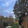 Photo 5: Garden