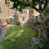 Photo 8: Garden