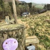 Photo 9: View of cottage from farm track