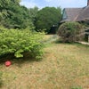 Photo 2: Garden
