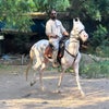 Photograph of Sonu