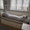 Photo 2: Double room with trundle
