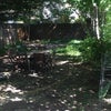 Photo 4: Garden 