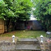 Photo 7: Garden
