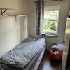 Photo 3: Room