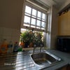 Photo 7: Double Glazed window.  Jasmine. Clean.
