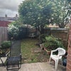 Photo 4: Back garden.