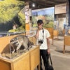 Photo 6: I love raccoons