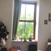 Photo 8: Bedroom 1