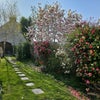 Photo 5: Garden