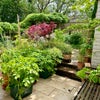 Photo 8: Back garden