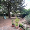 Photo 9: Communal garden