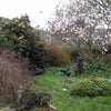 Photo 9: Garden.