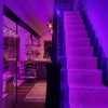 Photo 5: Recently renovated home in a quiet location with excellent London transport links.