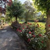 Photo 6: Gardens
