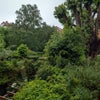 Photo 7: View from bedroom