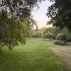 Photo 8: Garden/park