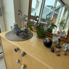 Photo 8: Detail living room