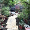 Photo 2: Garden