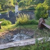 Photo 6: Garden view