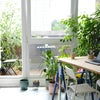 Photo 3: nice connection Living Space and Balcony 
