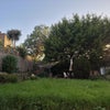 Photo 8: The garden