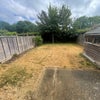 Photo 14: Lovely Shared Garden