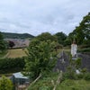 Photo 8: Garden view above kitchen patio