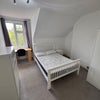 Photo 7: Bedroom 4
