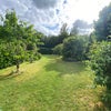 Photo 6: Back garden