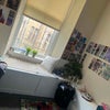Photo 4: Bedroom 2
