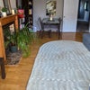 Photo 7: Living room 2